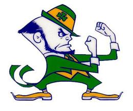 170312-fighting-leprechaun-260