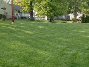 What will yours look like in Spring '14?