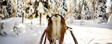 I'm not saying this looks like anyone, only acts like some.