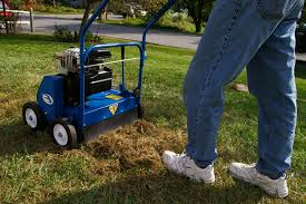 Dethatching (Picture from safe lawns.org)