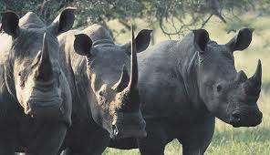 There's power in numbers 