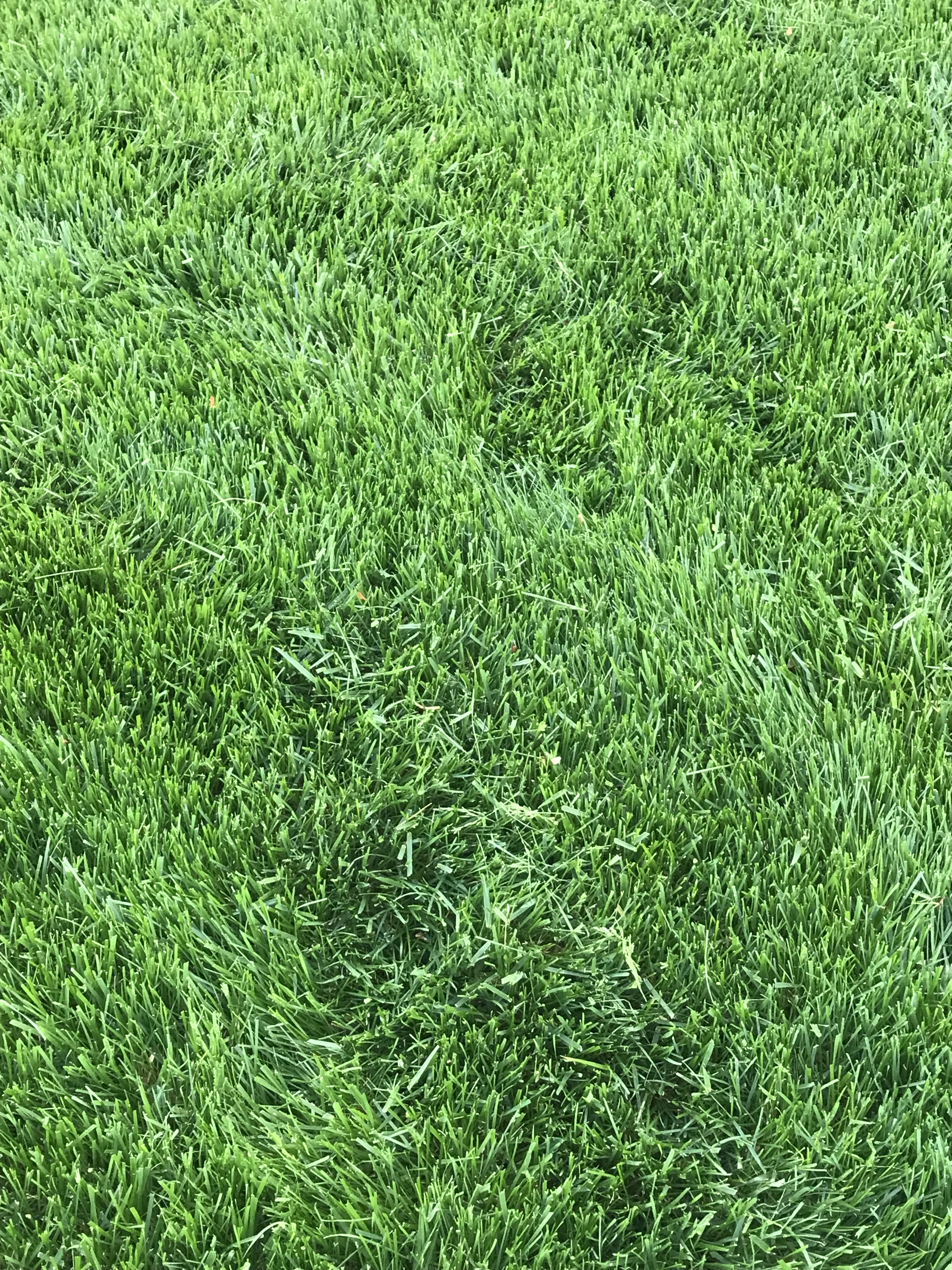 7E1FB3DD-9C1B-4ED5-812A-B272575DE348