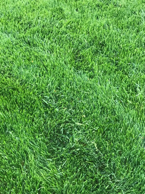 7E1FB3DD-9C1B-4ED5-812A-B272575DE348